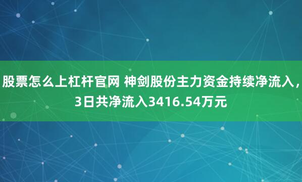 股票怎么上杠杆官网 神剑股份主力资金持续净流入，3日共净流入3416.54万元