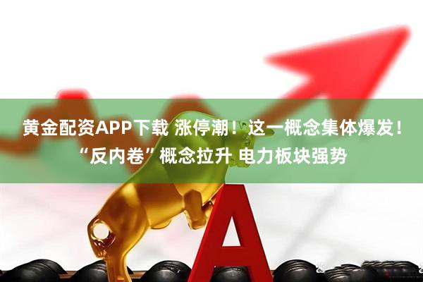黄金配资APP下载 涨停潮！这一概念集体爆发！“反内卷”概念拉升 电力板块强势
