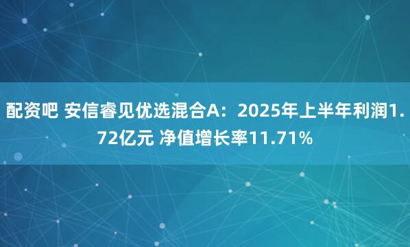 配资吧 安信睿见优选混合A：2025年上半年利润1.72亿元 净值增长率11.71%